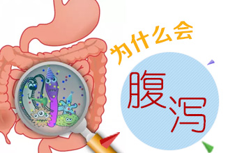 经常腹泻一般是什么原因