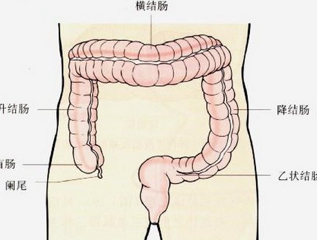 真菌性肠炎是什么原因引起的