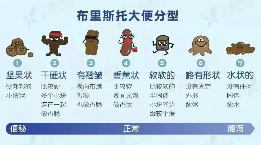 世界肠道健康日｜关爱胃肠，守护健康